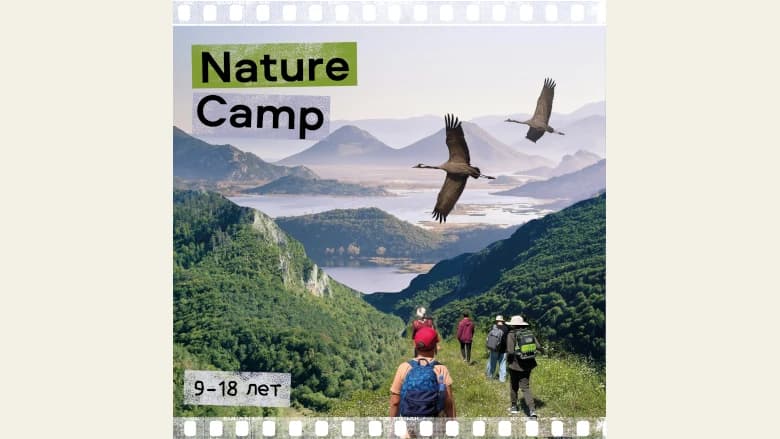 Adriatic College: Nature Camp