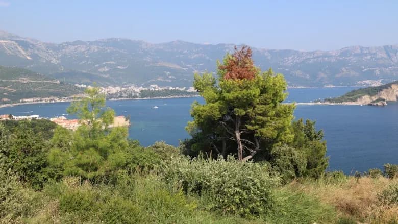 Adriatic College: Education in harmony with nature