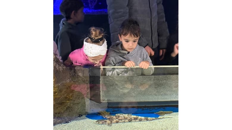 Визит 1А и 2А в Akvarijum Boka