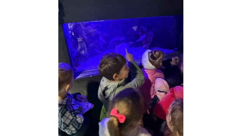 Визит 1А и 2А в Akvarijum Boka