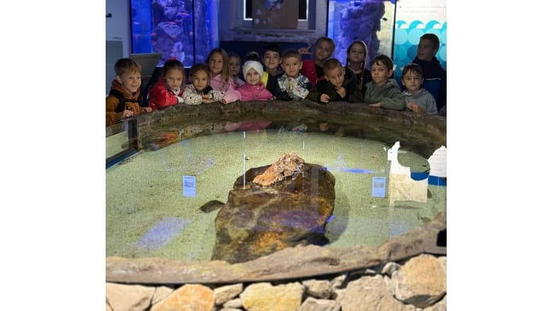 Визит 1А и 2А в Akvarijum Boka